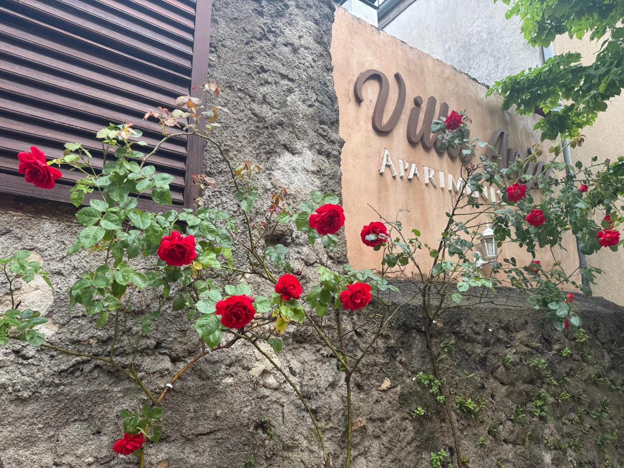 Villa Anja Apartments Mostar Exteriör bild